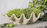 Photo of Campania South Seas Planter - Marquis Gardens